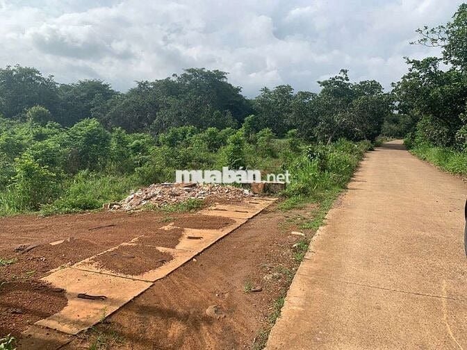 Vị trí trung tâm xã Phước Bình, Huyện Long Thành,