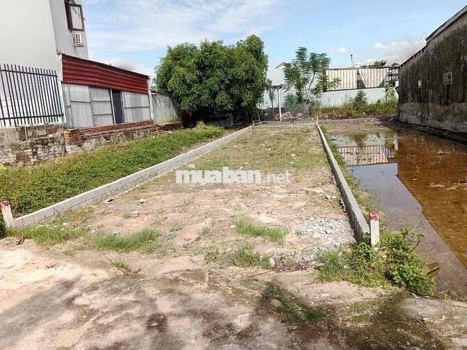 BÁN LÔ ĐẤT ĐẸP 2 MẶT KIỆT TRƯỚC SAU – THÔN TÂN HẠNH HOÀ XUÂN    ➡️Vị