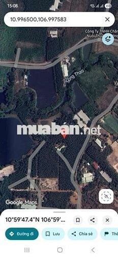 1.4HA - 300M2 THỔ CƯ - CÓ NHÀ, KHO, VÀ VƯỜN TRÀM !