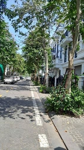 Bán nhà liền kề 102m2 4 tầng 38 tỷ elegantpark Park Thạch Bàn 