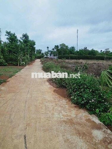 Đất km12 Quốc Lộ 26, Phường Tân An, Đăk Lăk