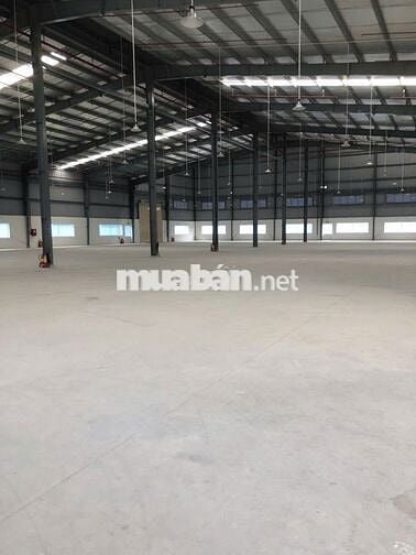 Cho thuê kho xưởng 8.500m2, KCN Tân Đô,Tân Đức,Hải Sơn,Đức Hòa,Long An