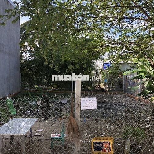 Bán đất nền sổ đỏ 100m2 đường Bình Trung, Quận Bình Thuỷ, Tp. Cần Thơ