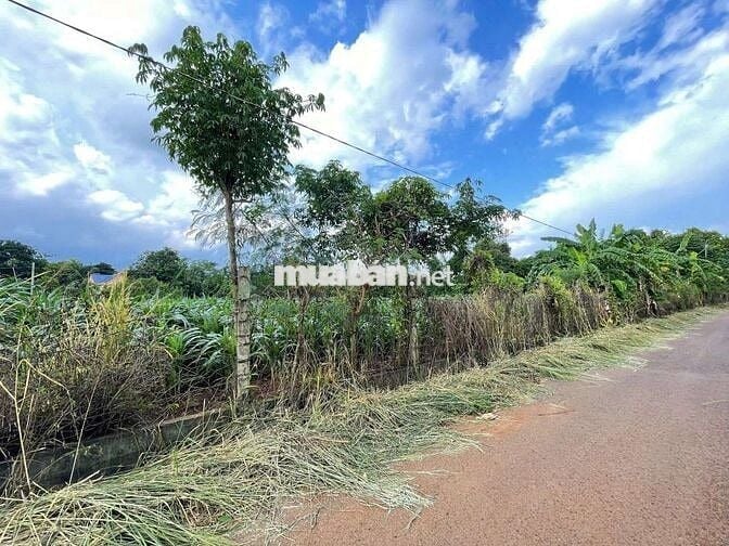 🏡 ĐẤT 5.523 m² – ĐẤT CẨM ĐƯỜNG