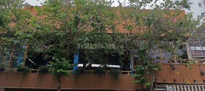 TUYỂN DỤNG BẾP ÂU, Á TẠI NHÀ HÀNG MỘC ROSE & CO