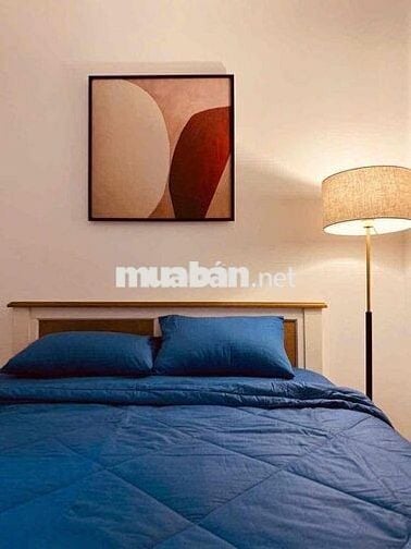 cho thuê nhà full nội thất phạm văn chiêu p13