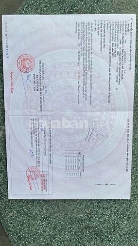 Cần tiền xây nhà bán gấp 1000m ,Quy Đức ,đường oto ,giá 2.6 tỷ shr 