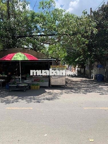GĐ Xuất Cảnh Bán gấp lô đất 2 mặt tiền