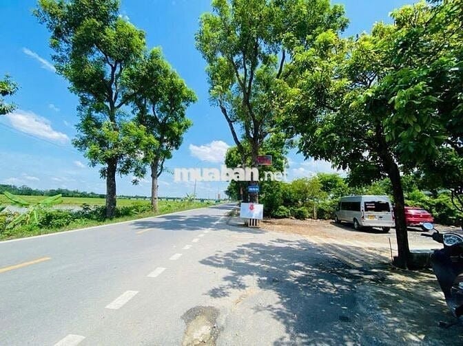 CƠ HỘI HIẾM CÓ! BÁN ĐẤT VĨNH THANH - ĐÔNG ANH - NỞ HẬU - Ô TÔ ĐỖ CỬA