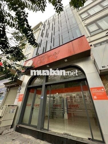 MP TRẦN QUỐC HOÀN - CẦU GIẤY. 60m2 x 6T, MT:8m. Thông sàn, Thang máy.