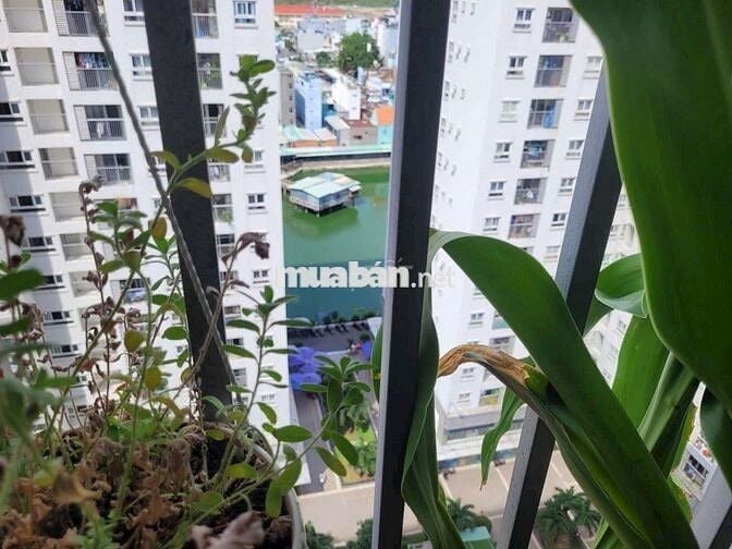 Cần cho thuê căn nhà trống mới 100% nhà mới sơn 65m2, 2P.N