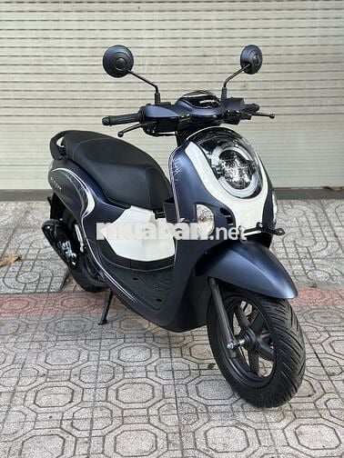 Scoopy 2025 - New 100%