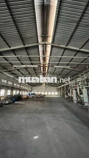 cho thuê kho xưởng 1300m2 đường dương thị giang, q12, pccc, đường cont