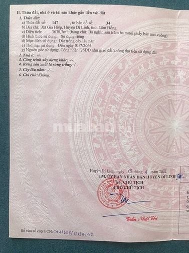 Đất rẫy siêu rẻ - khí hậu trong lành !