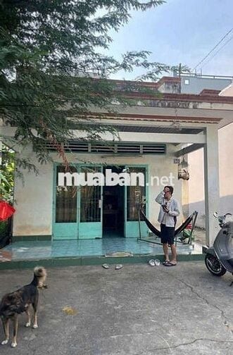 Bán nhà mặt tiền Đ.Tân Hiệp 4,Diện tích 7 x 32 (228m2)