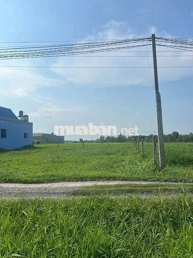 HÀNG HIẾM ĐẤT THỔ CƯ MT LÊ THỊ SẮT TÂN PHÚ TRUNG