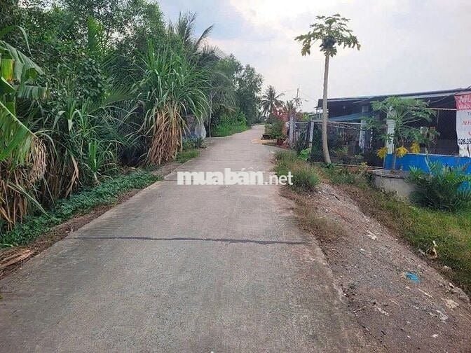 CHÍNH CHỦ - Bán 150m2 đất xã tân bửu CÁCH AEON BÌNH TÂN 16KM