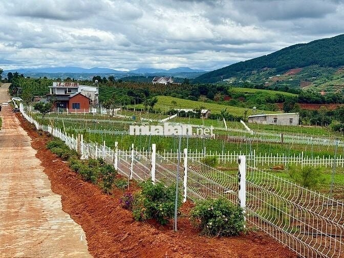 Bán lô đất nghỉ dưỡng view tượng phật gần khu Thác 7 Tầng