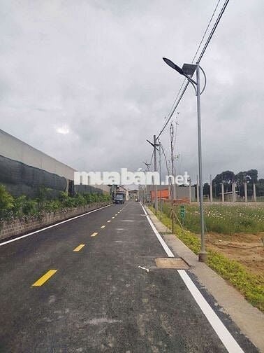 CHỦ CẦN BÁN NHANH LÔ ĐẤT TẠI LÂM HÀ GIÁ CHỈ 550TR CÓ SẴN THỔ