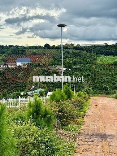 Đất nghỉ dưỡng ven Đà Lạt cách sân bay Liên Khương 20km