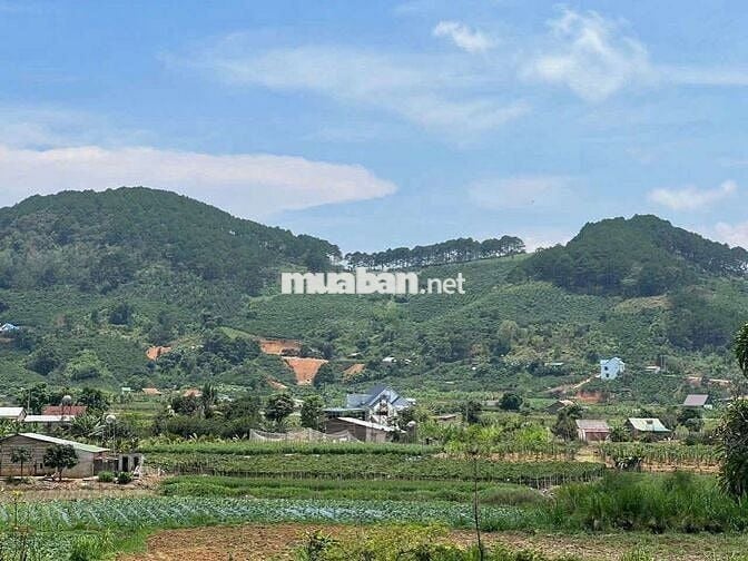 Ngộp bank chủ cần bán đất đẹp tại Trạm Hành view thung lũng Đơn Dương