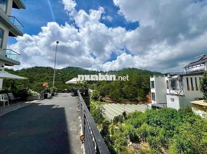 Bán đất view thông đường hoàng hoa thám