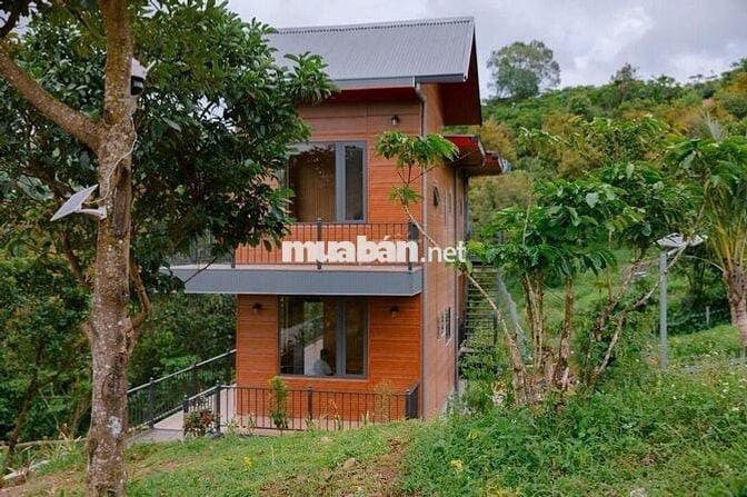 Thổn thức với chiếc view này quá đi ạ Nhà vườn Trị An chỉ 850tr/1000m2