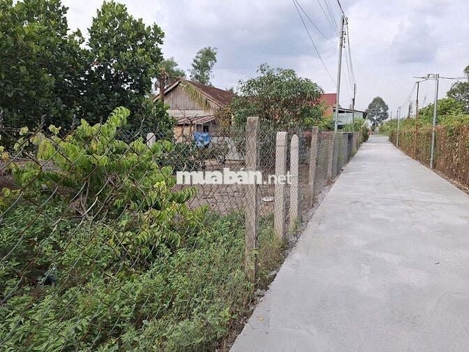 Đất KCN Phước Đông 12x20 thổ cư phù hợp đầu tư phòng trọ tạo dòng tiền