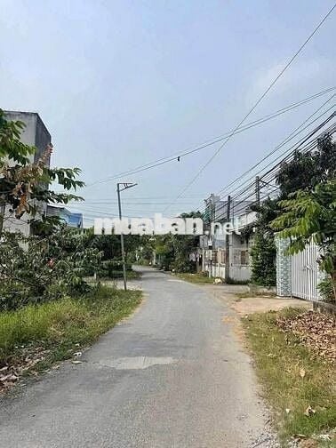 Chính chủ cần bán đất 188m² đường Thanh Ba,Mỹ Lộc, Cần Giuộc.Sổ Riêng.