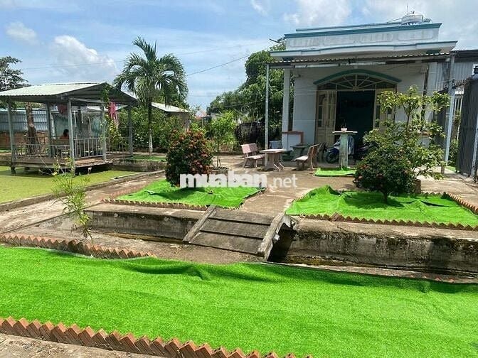 2135M² ĐẤT CÓ NHÀ SẴN - CÂY TRƯỜNG II, BÀU BÀNG CHỈ 900TR