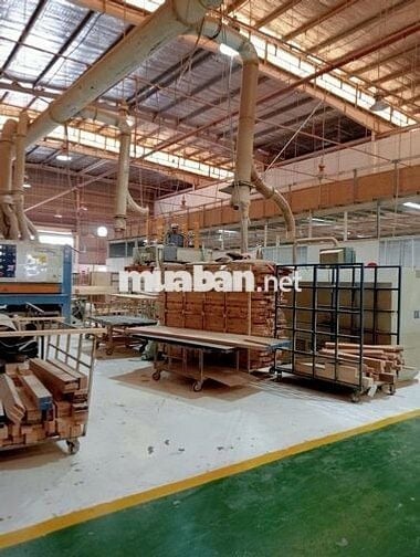 Cho thuê kho xưởng 4.200m² tại KCN Phú An Thạnh, Long An, PCCC tự động