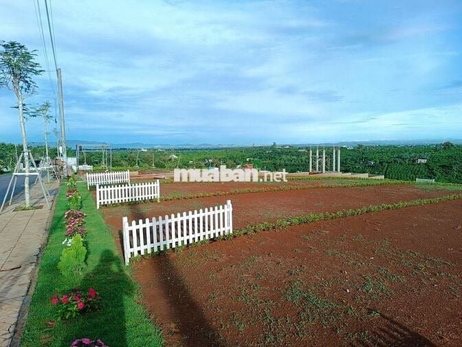 ĐẤT NỀN THỔ CƯ SỔ SẴN CÁCH NÚT GIAO CAO TỐC DẦU GIÂY-LIÊN KHƯƠNG 2KM