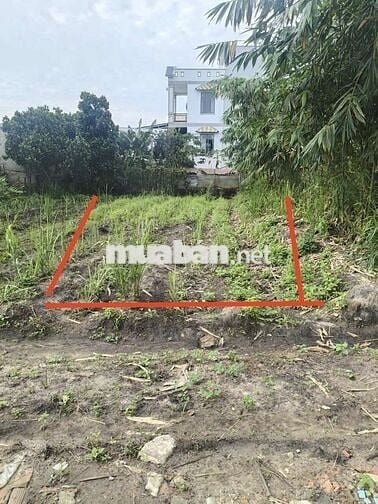 Bán đất bàu bàng bình dương  . tổng diện tích 130m2.  Giá 550 triệu