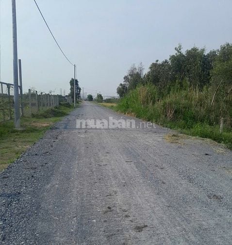 Bán 1500m2 đất thổ cư, xã Tân Phú Trung, Củ Chi, gần bệnh viện Xuyên Á