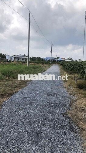 Cần bán khu đất vườn ven sông Tầm Vu, Long An