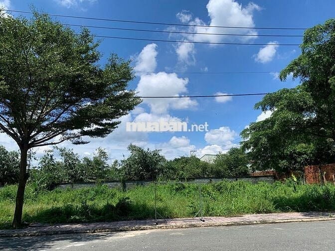 Cần bán đất Mặt Tiền Trung tâm Bến Cát - Bình Dương