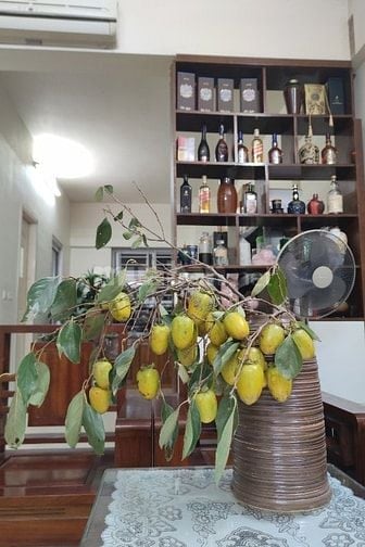 Chính chủ cần bán căn hộ tầng 26 CT2 chung cư Nam Xa La