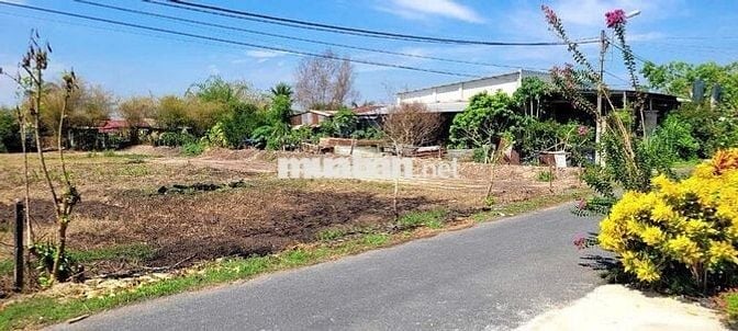 BÁN  LÔ ĐẤT NGAY CHỢ PHƯỚC THẠNH, DT 6 X 30, SỔ SẴN, GIÁ 550 TRIỆU,