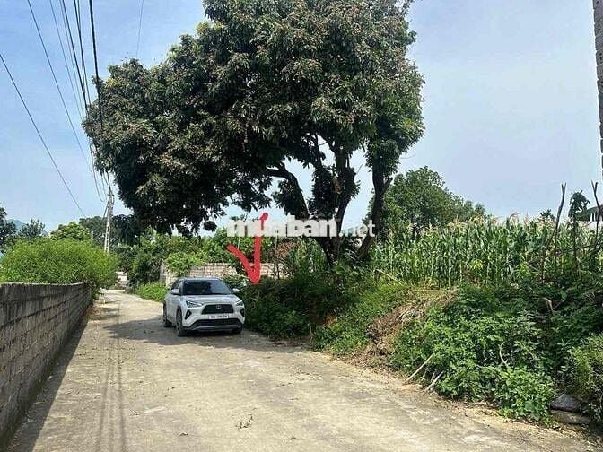 Chính chủ gửi bán mảnh đất 125,5m full thổ 🎉🎉 🚘 Đường mặt tiền 2 ô tô
