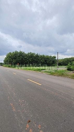 Bán đất mặt tiền đường nhựa rộng, nở hậu – sát Ngã 4 Chơn Thành