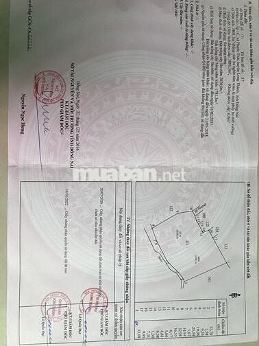 3801m2 Đất Có Sổ Hồng ngay sau lưng chợ Phước Thái