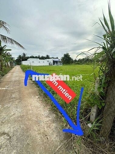 ĐẤT NỀN BIỆT THỰ 9X35 QH ĐẤT Ở TOÀN BỘ GIÁP DAL 3.5M THUỘC P. PHÚ TÂN