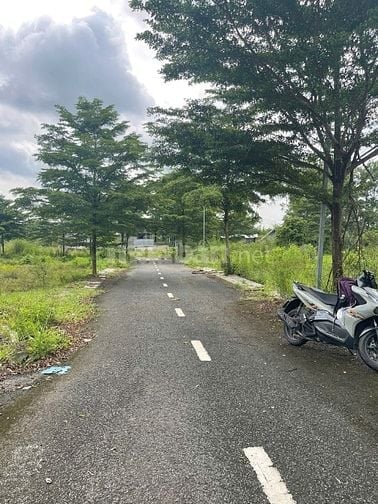 🏡 Đất ở 117,9m² - Trảng Bom, tỉnh Đồng Nai-Gần Chợ Sông Trầu