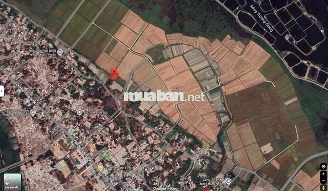 Đất nông nghiệp rẻ Thăng Bình view lúa gần sông