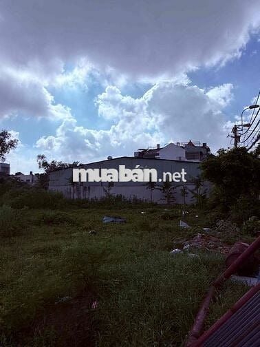Cho thuê nhà xưởng lớn khu vực Hóc Môn
