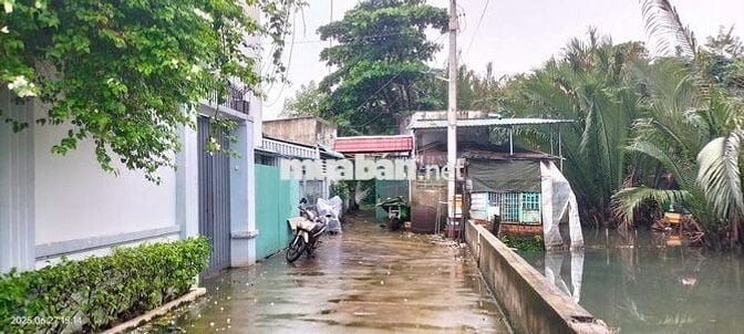 Nhà vườn: 701 m2, khu dân cư Hiệp Bình Chánh, Thủ Đức, TP.HCM.