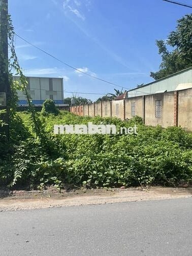 BÁN ĐẤT MẶT TIỀN NHỰA 200M2, 630TR, NGUYỄN THỊ SE, TÂN THÔNG HỘI