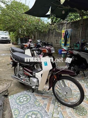 🏍 Dream 50cc 2025 – Chưa xăng ❤️
