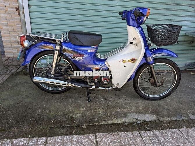 cup 50cc máy zin