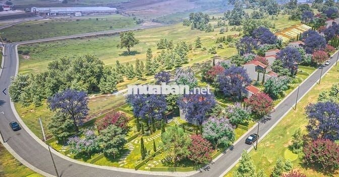 Lô đất 245m² trung tâm Bình Thạnh xã Lâm hà mới Lâm Đồng – Sẵn thổ cư